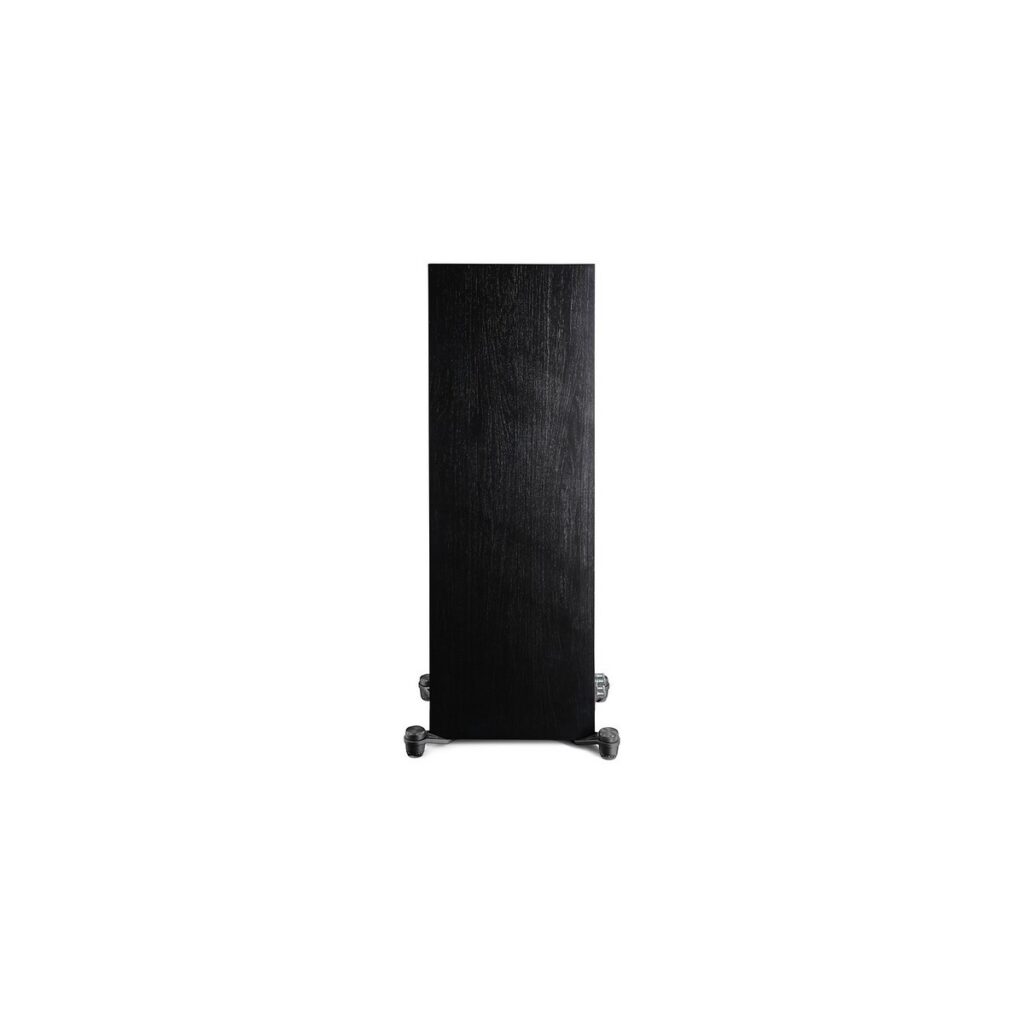 Big Image